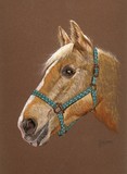 by Jennifer Redstreake