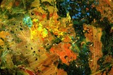 by jethro Nisson