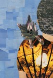 by Moira McLaughlin