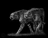 by Heather Ward