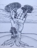 by James Anderson