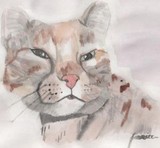 by Jessica Kraft