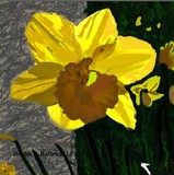 by Debbie Battrick