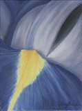 by Cathy Savels
