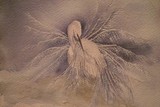 by Lori Azzolino