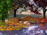 by Cindy Michaels