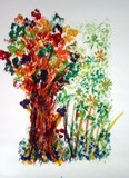 by Apollyona Alba