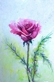 by Natalja Picugina