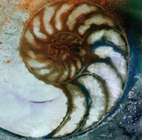 by Kathy Morton-Stanion