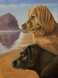 by Dan Mills