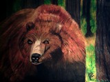 by Jo-Ann Hayden