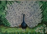 by Marika Rozalia Seprenyi