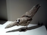 by fredie cumberland II
