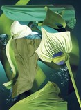 by Collage Art