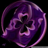 by Stefani Wehner