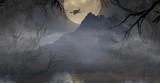by Tatjana Prelog