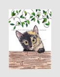 by Cheryl Garman-Andrade