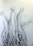 by rasa 