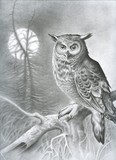 by mark farrell