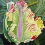 by Angela Stanbridge