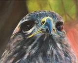 by Kathy Schoeppner