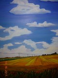 by Shelley Ohlgren