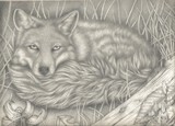 by Brian Wingender