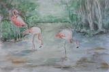 by Patricia Elgee