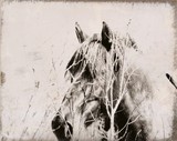 by Libor B. Tezky
