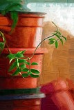 by Holly DeLaughter