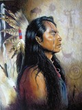 by Joe Belt