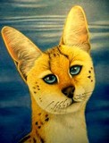 by Carlos Pascual