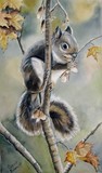 by patricia pushaw