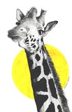 by Derrick Booth