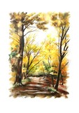by Fariba Molavi