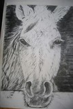 by Melody Mckinley