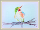 by Cathy Turner