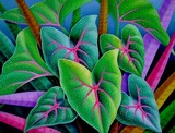 by murali nagapuzha