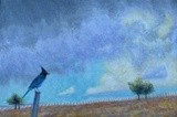 by Karen Birchfield