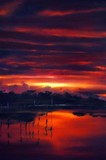 by peter Garner