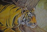 by pramod pardeshi