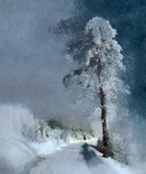 by Pavel Potocek
