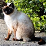 by Marie josé LAURIER