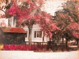 by raanan Ben ari