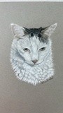by Catherine Sandell