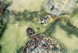 by Reef Upwelling