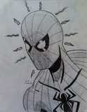 by Elvis Cardona