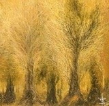 by Lida Goldoust