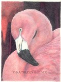 by Kathleen Reeder