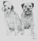 by Nienke van Zutphen